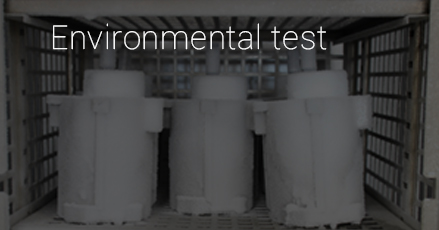 Environmental test